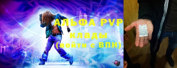индика Болохово