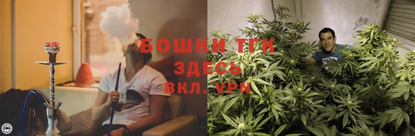 мдма Новодвинск