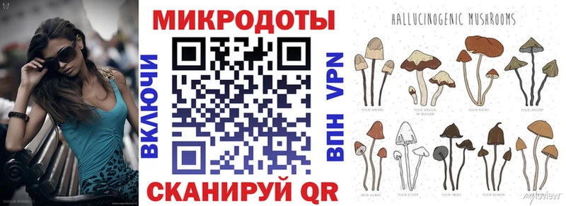 Галлюциногенные грибы Psilocybe  Новоульяновск 